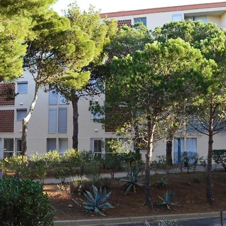 Appartement 3 Pieces Avec Parking Et Lave-Linge, A 500M Du Port - Banyuls-Sur-Mer - Fr-1-225C-274 Dış mekan fotoğraf