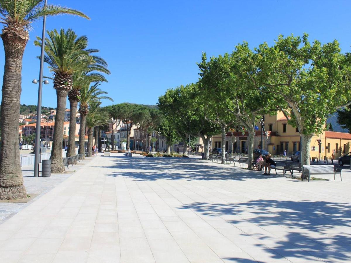 Appartement 3 Pieces Avec Parking Et Lave-Linge, A 500M Du Port - Banyuls-Sur-Mer - Fr-1-225C-274 Dış mekan fotoğraf